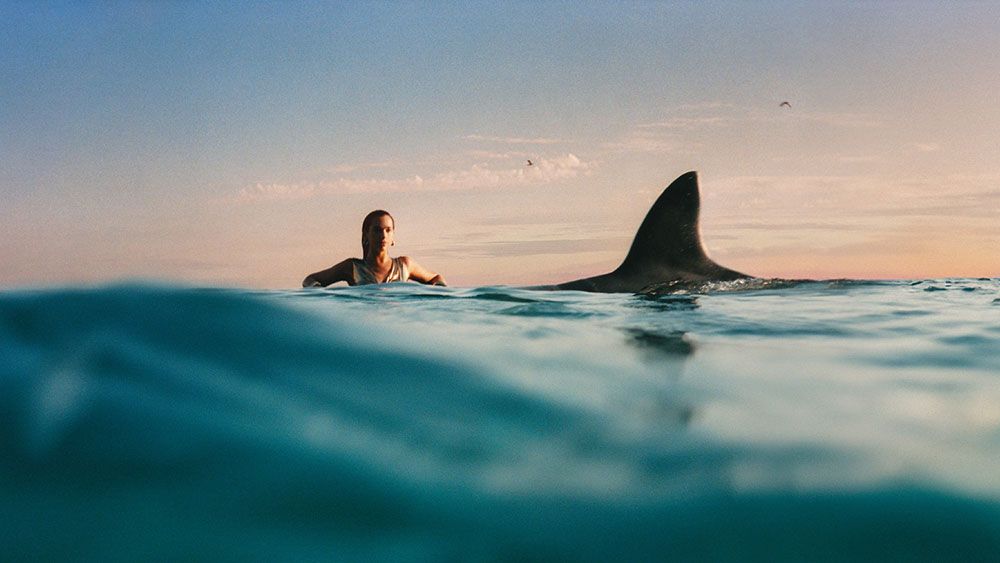 dua-lipa_1738797430.jpg dua-lipa_1738797430.jpg